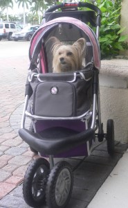 stroller
