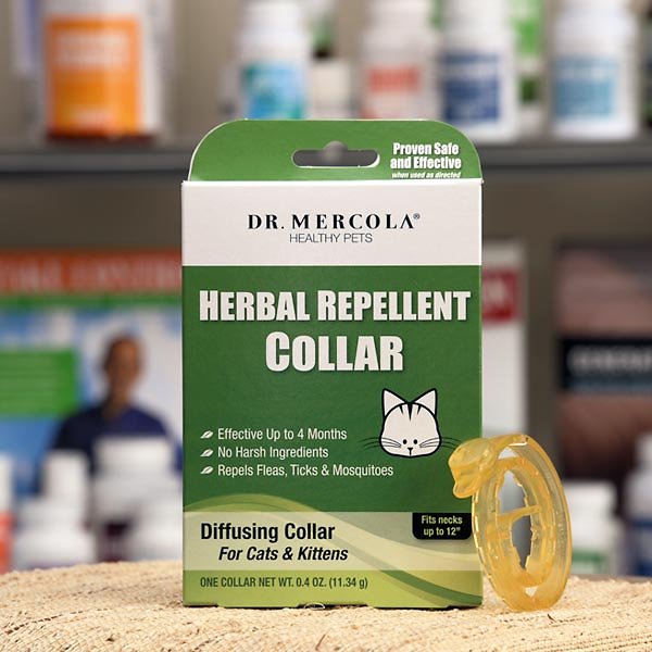 Natural Chemical-Free Flea and Tick Treatments – The PetLondon Penthouse - Chemical Free Flea And Tick Prevent